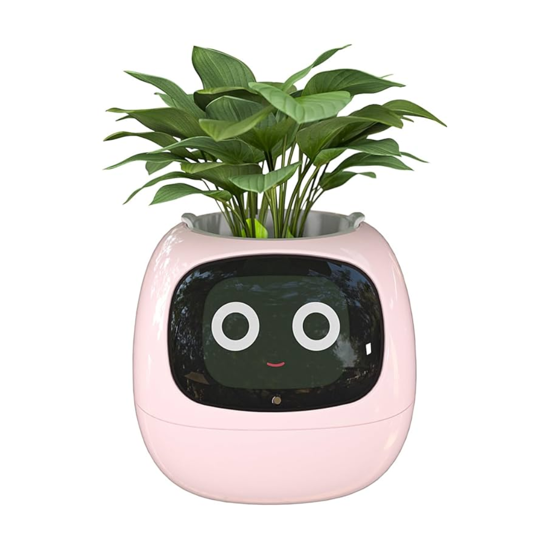 Maceta Tamagochi - Smart