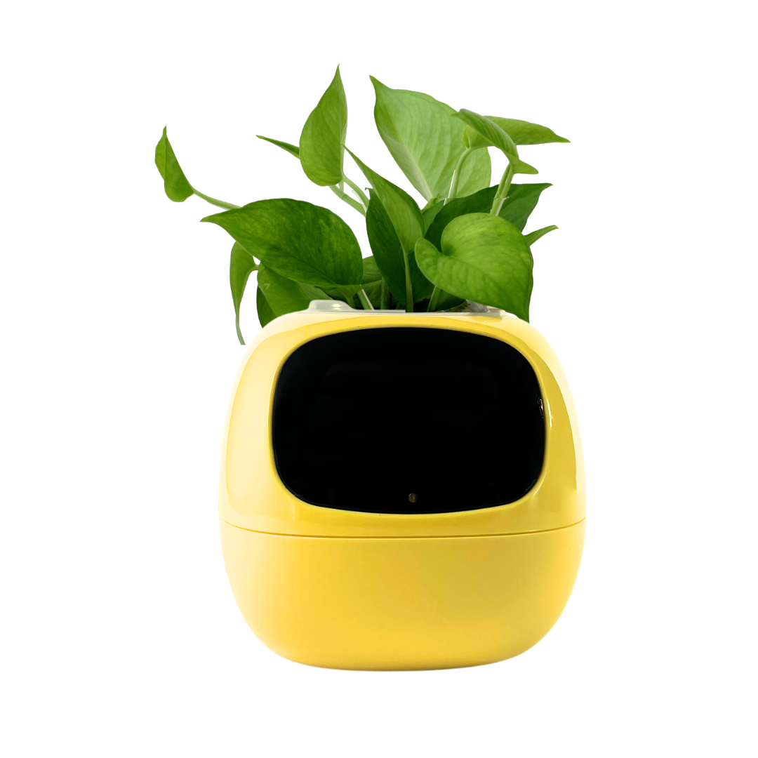 Maceta Tamagochi - Smart