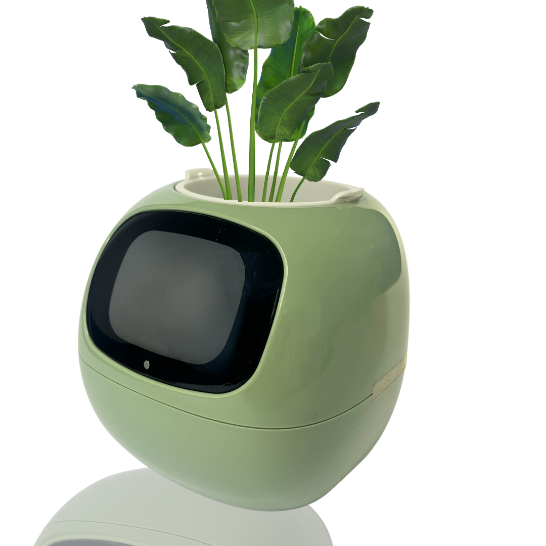 Maceta Tamagochi - Smart